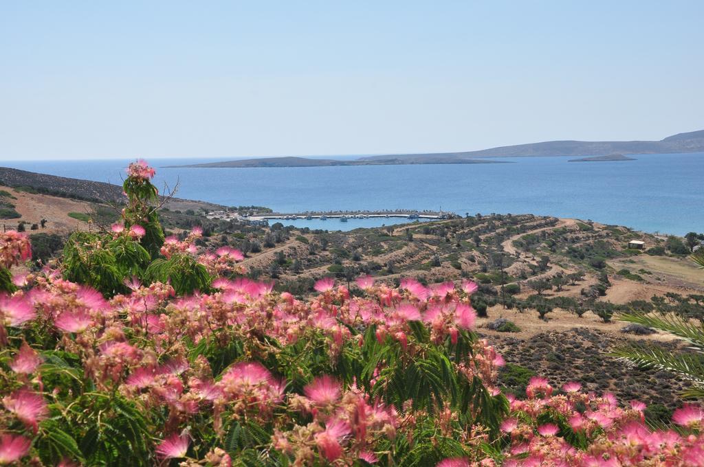 Castri Village Hotel Palekastro Exteriér fotografie