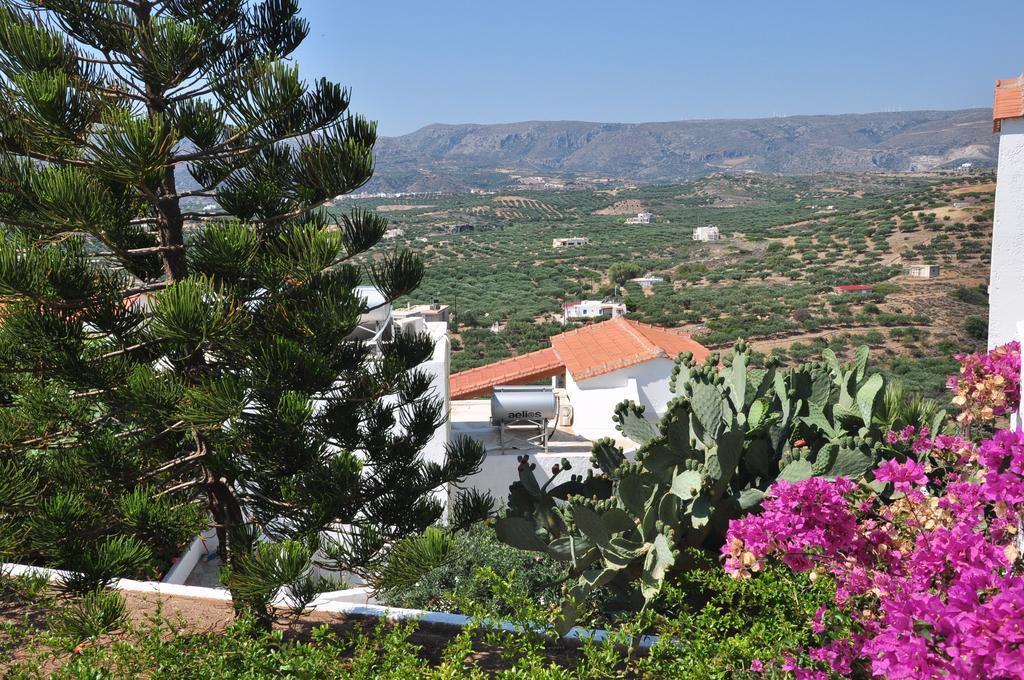 Castri Village Hotel Palekastro Exteriér fotografie